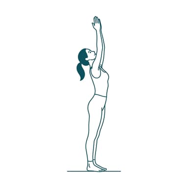 Overall Body Health